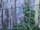 L'effetto e la finitura richiesta